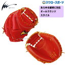 アイピーセレクト グラブ 20%OFF 野球 アイピーセレクト Ip Select 捕手用 キャッチャーミット 硬式ミット ステアエキスパート 高校野球 Ip0...