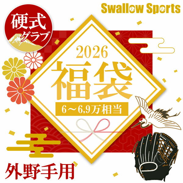 ＼【後払い不可】6~6.9万円相当！ 硬式 外野手用 グラブ福袋 その他メンテナンス用品6点以上 野球用品 ..