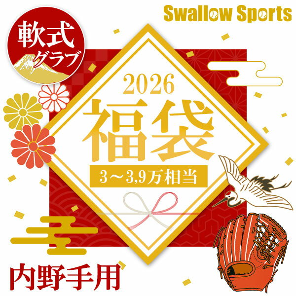 ＼【後払い不可】3~3.9万円相当！ 軟式 内野手用 グラブ福袋 その他メンテナンス用品6点以上 野球用品 ..