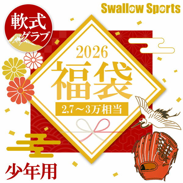 ＼【後払い不可】2.7~3万円相当！ 少年軟式用 グラブ・ミット福袋 その他メンテナンス用品6点以上＋学..