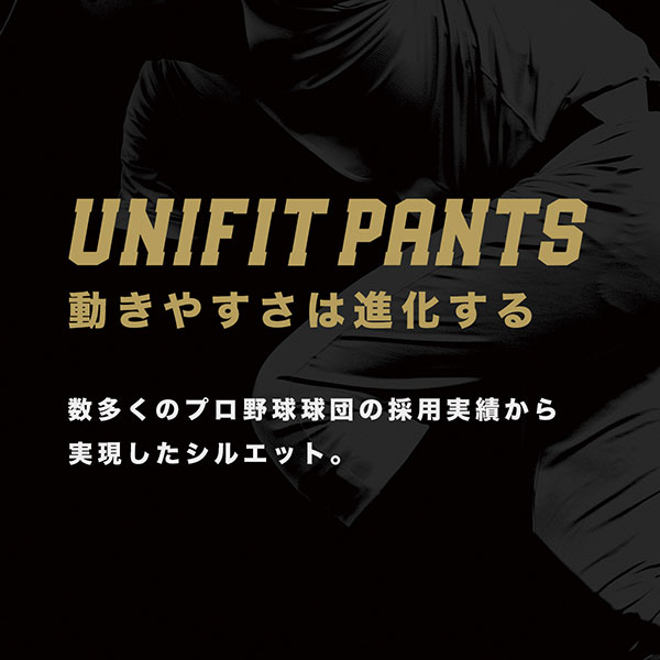 デサント 野球パンツ ユニフォーム STANDARD ロング パンツ ズボン DB-1010LP dpnt ウエア ユニホーム ウェア 高校野球 DESCENTE 野球部 野球用品 スワロースポーツ