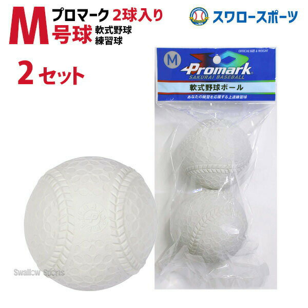野球 プロマーク 軟式ボール M号球 練習球 2個入 2セ