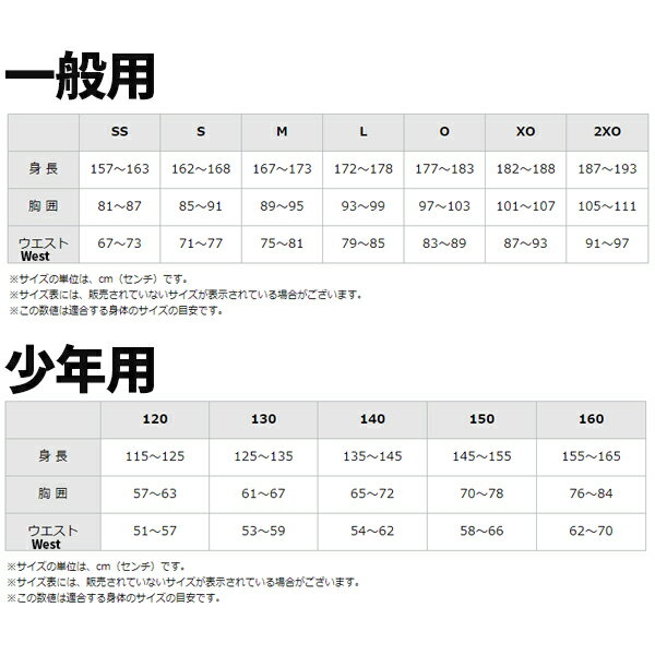 野球 審判員用品 ミズノ 審判用ウェア V首セ...の紹介画像2