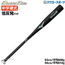 野球 中学硬式バット ミズノ 限定 硬式 バット 硬式金属バット グローバルエリート 中学硬式 イントローグ00 ミドルバランス 83cm 84cm1CJMH6...
