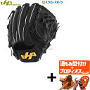 \1日(月)ポイント5倍対象/ 【プロティオス型付け込み/代引、後払い不可 】野球 軟式 グローブ 軟式グローブ 大人用 大人 ハタケヤマ 軟式グラブ 一般 ピ...