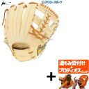 \1日(月)ポイント5倍対象/ 【プロティオス型付け込み/代引、後払い不可 】野球 アイピーセレクト Ip Select スワロー限定 オーダー 硬式グローブ ...