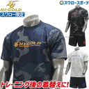 50％OFF 野球 ハイゴールド スワロー限定 オーダー ウエア Tシャツ 半袖 ハーフパンツ 上下セット HIG-002SW トレーニング 練習 ウェア ウエア ランニング トレーニング 野球用品 スワロースポーツ