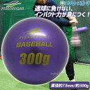 野球 フィールドフォース バッティング練習 サンドボール インパクトパワーボール 300g FIMP-300G-EC Fieldforce 野球用品 スワロースポーツ