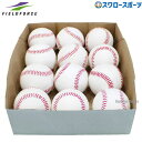 野球 フィールドフォース ボール 硬式 練習 Aグレード 硬式練習球 ダース FKB-35015 Fieldforce 硬式用 硬式野球 野球用品 スワロースポ...