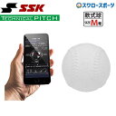 ＼ポイント5倍対象／ 野球 SSK エスエスケイ 野球 トレーニング 軟式用 M球 M号球 ナイガイ IoT野球ボール テクニカルピッチ TP002M 巣ごもり すごもり おうち時間 グッズ ステイホーム ※投球専用 野球部 軟式野球 野球用品 スワロースポー