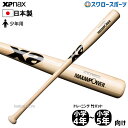 野球 室内 素振り バット ザナックス Xanax トレーニングバット 小学4年〜小学5年向け BHB6680 野球用品 スワロースポーツ アウトレット クリア...