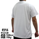 ＼1日(水)ポイント5倍／ 野球 ゼット ビームスデザイン 限定 ウエア ウェア メンズ 大人 一般 Tシャツ 半袖 BOT77103 ZETT 野球用品 スワロースポーツ 2