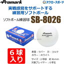 \4時間限定!9日(金)全品P10倍/ 激安 プロマーク 練習用 ソフトボール 2号球 6個入 ゴムソフト ソフトボール 練習球 2号 2号球 ジュニア 小学生...