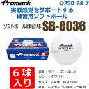 \4時間限定!9日(金)全品P10倍/ プロマーク 練習用ソフトボール 3号球 6個入 ソフトボール 練習球 3号 3号球 一般用 中学生用 ソフトボール用 練...