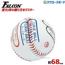 野球 少年野球 ファルコン 硬式ピッチトレーナー 少年用 野球 少年野球 硬式 ボール 変化球 練習 ピッチング 握り方 トレーニング BB-925 ボール 硬...