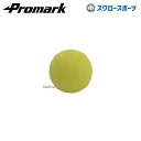 プロマーク やわらかソフトボール 3号球 ソフトボール ソフト ボール 練習用 練習球 3号 3号球 一般用 中学生用 ソフトボール用 練習ボール SB-803...
