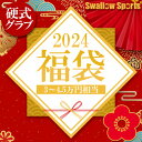 ＼【後払い不可】 3～4.5万円相当！ グラブorミット1点+小物3点 梅 スワロースポーツ 202 ...