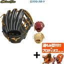 \4時間限定!23日(金)全品P10倍/ 【プロティオス型付け込み/代引、後払い不可 】ミズノ 硬式グローブ ミズノプロ 野球 高校野球対応 ミズノ 限定 ミズ...