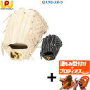 【プロティオス型付け込み/代引、後払い不可 】野球 ワールドペガサス 硬式グローブ 高校野球対応 グラブ グランドペガサス TOP ピッチャー 投手用 WGK4...