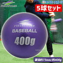 【1(火)ポイント5倍対象】 野球 フィールドフォース バッティング練習 サンドボール インパクトパワーボール 400g 5球セット FIMP-400G-EC Fieldforce 野球用品 スワロースポーツ