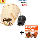【プロティオス型付け込み/代引、後払い不可 】野球 少年野球 ワールドペガサス 軟式グローブ グラブ 少年 ジュニア オールラウンド用 エディット FL ソフト...