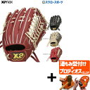【プロティオス型付け込み/代引、後払い不可 】野球 ザナックス 硬式グローブ 高校野球対応 グラブ トラスト ベーシックライン 外野 外野手用 HG1型 BHG...
