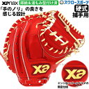 \1日(金)ポイント5倍対象/ 野球 ザナックス 限定 硬式 スペクタス キャッチャーミット 捕手用 湯もみ型付け済 BHC2602KZ-DRC 右投用 XAN...