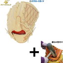 【湯もみ型付け込み/代引、後払い不可 】野球 ハイゴールド 硬式グローブ 高校野球対応 グラブ 技極 プロフェッショナルシリーズ フラグシップモデル 投手用 投...