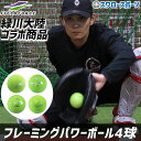 \24日・25日全品ポイント5倍/ 野球 フィールドフォース トレーニング ボール フレーミングパワーボール 4球セット FRMPB-4M Fieldforce 野球用品 スワロースポーツ