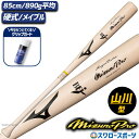 野球 ミズノ 硬式 硬式用 木製 硬式木製バット 高校野球 ミズノプロ ロイヤルエクストラ メイプル BFJマーク入り パウダーグリップガード セット 1CJW...