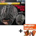 【プロティオス型付け込み/代引、後払い不可 】野球 ローリングス 硬式グラブ グローブ PRO PREFERRED Wizard #02 Embossed 右投...