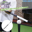 野球 フィールドフォース トレーニング 棒バット FTBB-8060 Fieldforce 野球用品 スワロースポーツ