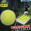 \24日・25日全品ポイント5倍/ 野球 フィールドフォース 回転チェックボール M号トレーニング 練習球 実打可能 トレーニング 投球練習 打撃練習 ピッチング バッティング FNB-721MKN Fieldforce 野球用品 スワロースポーツ