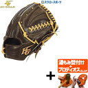【プロティオス型付け込み/代引、後払い不可 】野球 ハイゴールド 軟式グローブ グラブ 己極 SRダークブラウン ピッチャー 投手用 OKG-6101 Hi-G...