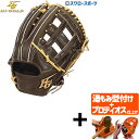 【プロティオス型付け込み/代引、後払い不可 】野球 ハイゴールド 軟式グローブ グラブ 己極 SRダークブラウン 外野 外野手用 OKG-6109 Hi-Gol...