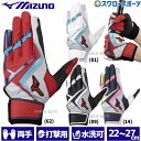 \19.20日連続ポイントセール/ 野球 ミズノ 限定 バッティンググローブ ウィルドライブ レッド 両手用 打者用 手袋 1EJEA554 MIZUNO 野球用品 スワロースポーツ