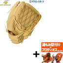 【プロティオス型付け込み/代引、後払い不可 】野球 ハイゴールド Hi-Gold 硬式グローブ グラブ 技極 プロフェッショナルシリーズ 投手 投手用 ピッチャ...