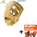 【プロティオス型付け込み/代引、後払い不可 】野球 ハイゴールド Hi-Gold 硬式グローブ グラブ 技極 プロフェッショナルシリーズ 二塁手用 遊撃手用 W...