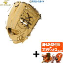 【プロティオス型付け込み/代引、後払い不可 】野球 ハイゴールド Hi-Gold 硬式グローブ グラブ 技極 プロフェッショナルシリーズ 遊撃手用 二塁手用 W...
