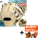 \19.20日連続ポイントセール/ 【プロティオス型付け込み/代引、後払い不可 】野球 アイピーセレクト 限定 硬式グローブ 大人用 一般用 硬式 グローブ グラブ 内野手用 右投用 PROGRESS LIMITED EDITION 高校野球対応 内野 内野手 硬式用 硬式野球 Ip041-Pc25G IpSelect 野