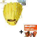 【プロティオス型付け込み/代引、後払い不可 】野球 ハイゴールド 硬式 グラブ グローブ 心極 投手用 硬式グローブ 高校野球対応 右投用 左投用 ピッチャー ...