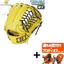 【プロティオス型付け込み/代引、後払い不可 】野球 ハイゴールド 硬式 グラブ グローブ 心極 三塁手用 オールポジション用 硬式グローブ 高校野球対応 右投用...