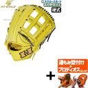 【プロティオス型付け込み/代引、後払い不可 】野球 ハイゴールド 硬式 グラブ グローブ 心極 外野手用 硬式グローブ 高校野球対応 右投用 左投用 硬式野球 ...