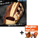 【プロティオス型付け込み/代引、後払い不可 】野球 アイピーセレクト 限定 軟式グローブ グラブ 外野手用 プログレスRB リミテッドエディション キャメル Ip003-Pr25G1 IpSelect 野球用品 スワロースポーツ