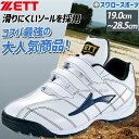 野球 ゼット ZETT 限定 野球 アップシューズ 一般 大人 少年 トレーニングシューズ メンズ マジックテープ トレシュー 練習 BSR8017C 靴 野球...