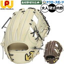 \5日(土)全品ポイント5倍/ 野球 ワールドペガサス グランドペガサストップエボルブ 硬式グローブ グラブ 硬式用 高校野球対応 内野手用 中学生硬式用 女子...