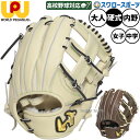 \5日(土)全品ポイント5倍/ 野球 ワールドペガサス グランドペガサストップエボルブ 硬式グローブ グラブ 硬式用 高校野球対応 内野手用 中学生硬式用 女子...