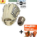 【プロティオス型付け込み/代引、後払い不可 】野球 ワールドペガサス グランドペガサストップエボルブ 硬式グローブ グラブ 硬式用 高校野球対応 外野手用 中学生硬式用 女子硬式用 WGK5FTE8L worldpegasus 野球用品 スワロースポーツ
