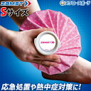 野球 ザムスト ZAMST アイスバッグ(ピンク) Sサイズ 氷嚢 氷のう 378111 設備・備品 野球部 野球用品 スワロースポーツ