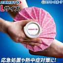 野球 ザムスト ZAMST アイスバッグ(ピンク) Lサイズ 氷嚢 氷のう 378113 設備・備品 野球部 野球用品 スワロースポーツ